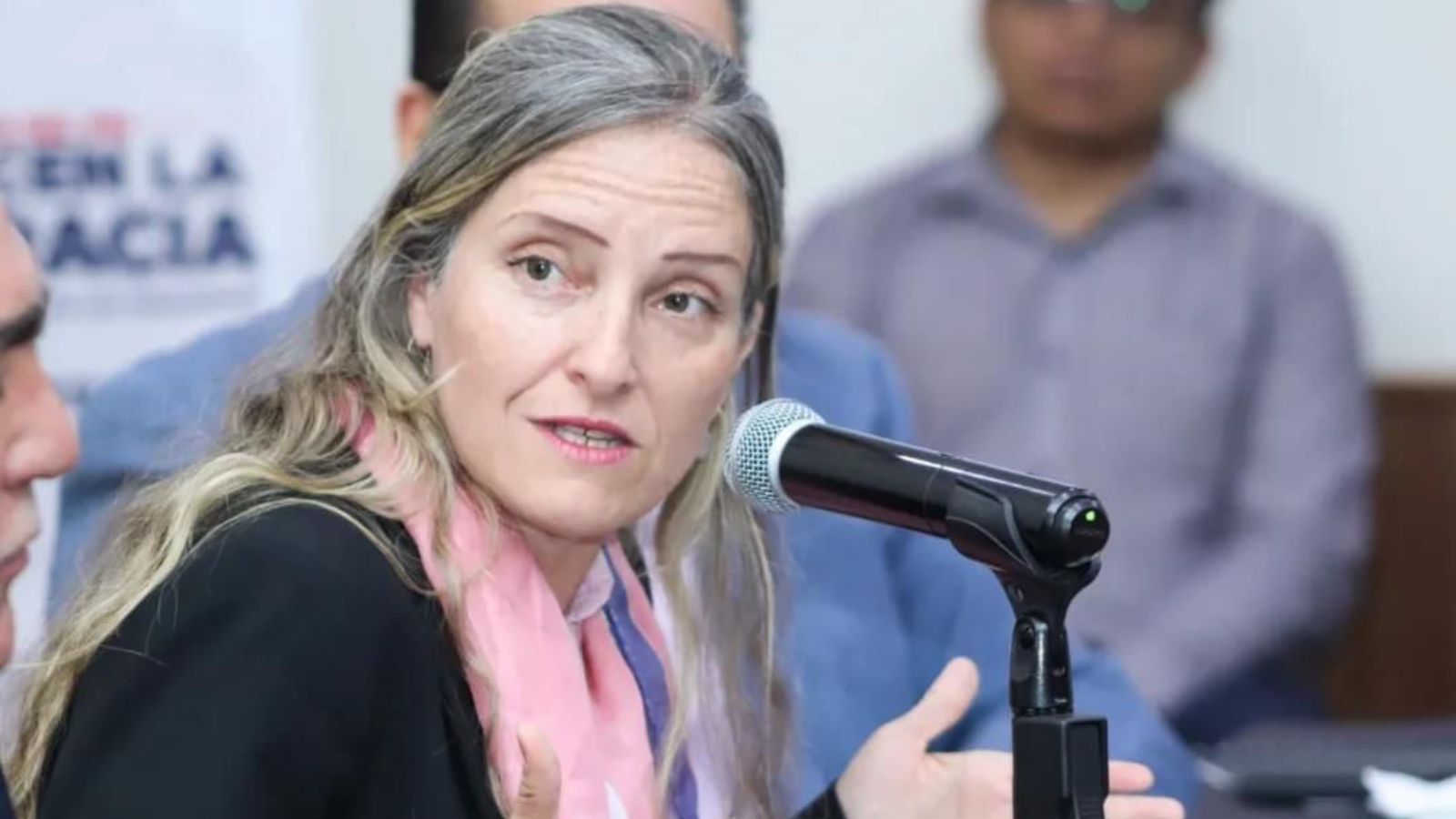 Amenaza De Muerte Contra La Consejera Presidenta Del Iepcj Paula Ramírez Höhne Noticiaspv 0445